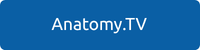 Open Anatomy TV